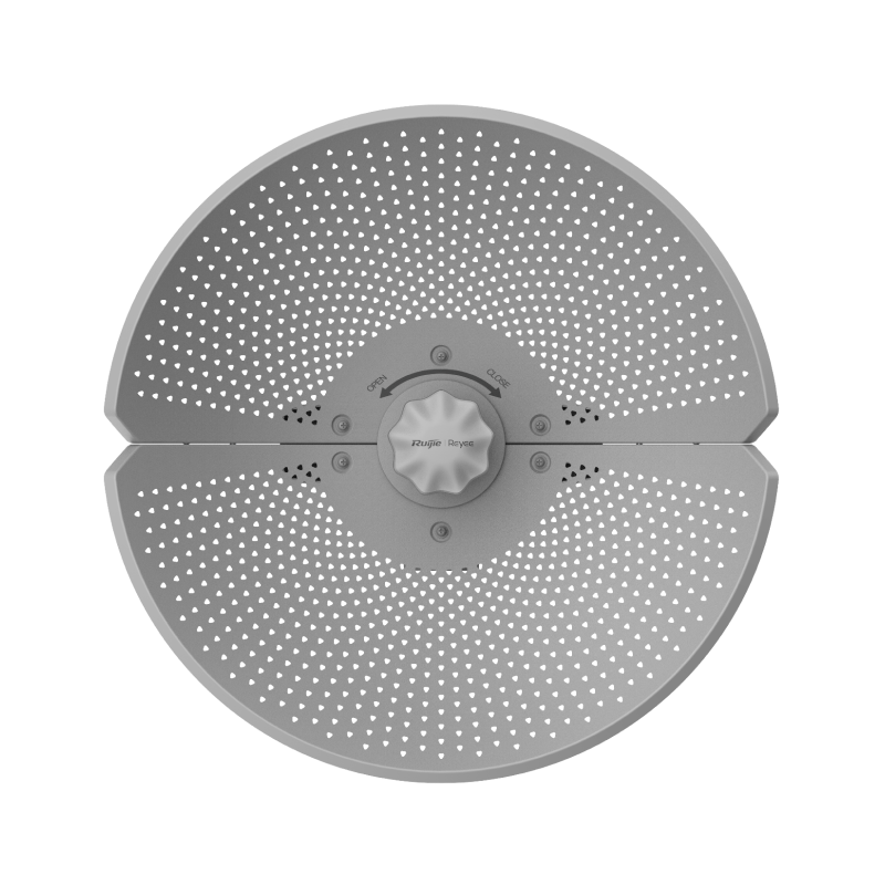 RG-AirMetro460G, CPE of RG-AirMetro Series Wireless Bridges